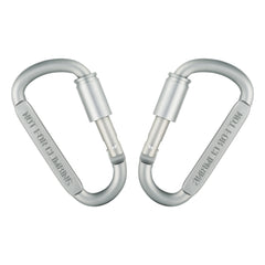 4 Pcs  Screw carabiner Multipurpose use (Not for Climbing)