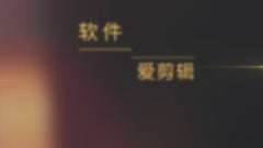 Combat TL70 Tactical Flashlight